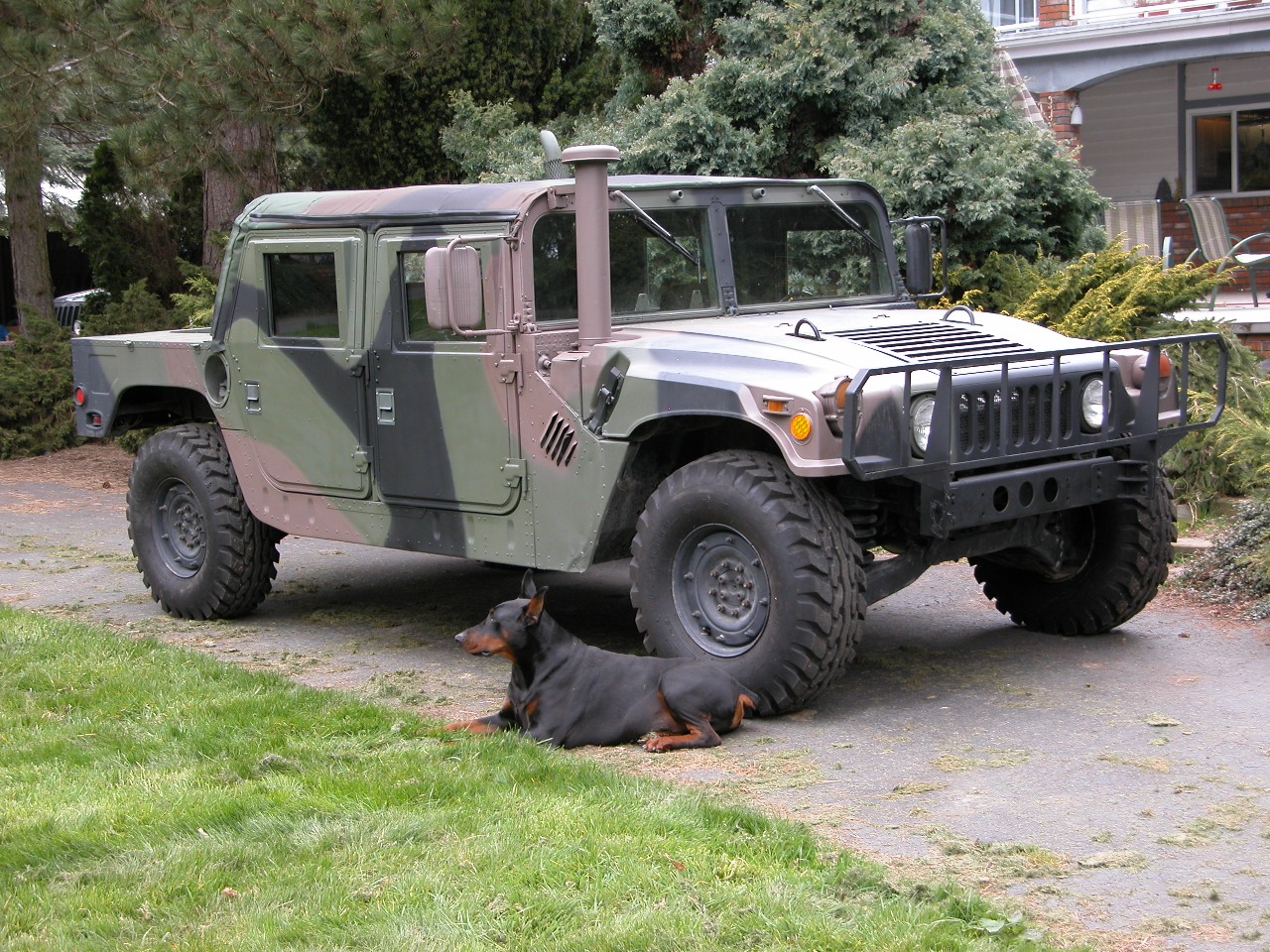 1985 Military Camo Hummer for sale Vehicles free download image Wallpaper 1985 Military Camo Hummer for sale Vehicles free download image Wallpaper